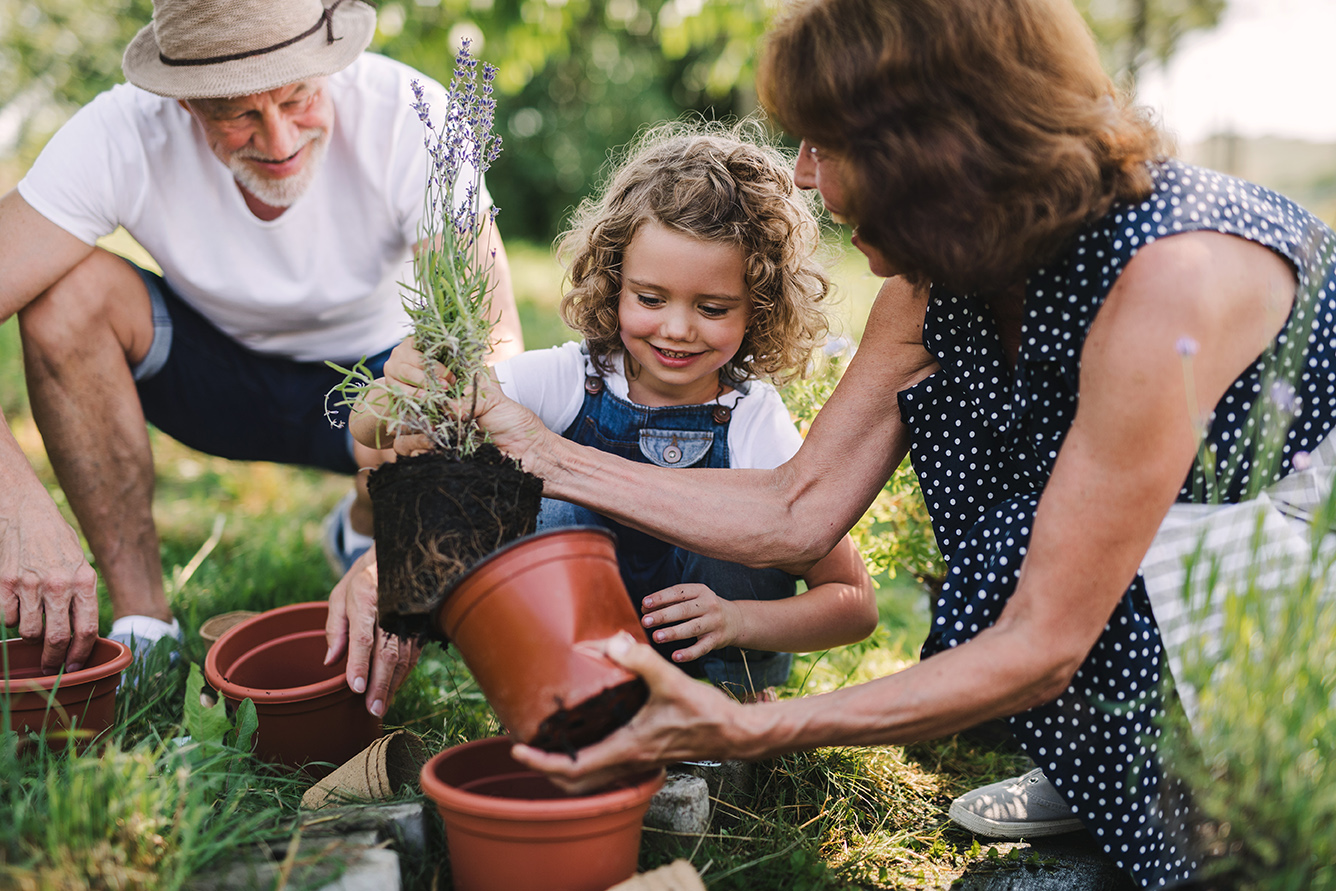 Estate and Wealth Management | Beacon Financial Planning